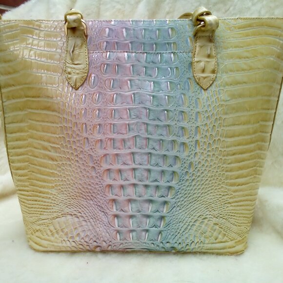 Brahmin Daybreak - Picture 4 of 4